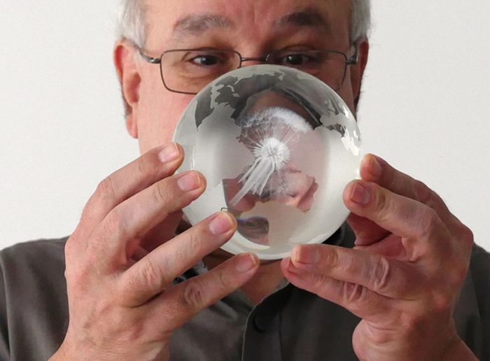 Dandelion Globe